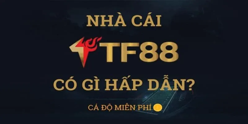 Hệ sinh thái sản phẩm tại tf88 đa dạng và chuẩn quốc tế