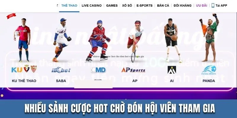 nhieu-sanh-cuoc-hot-cho-don-hoi-vien-tham-gia